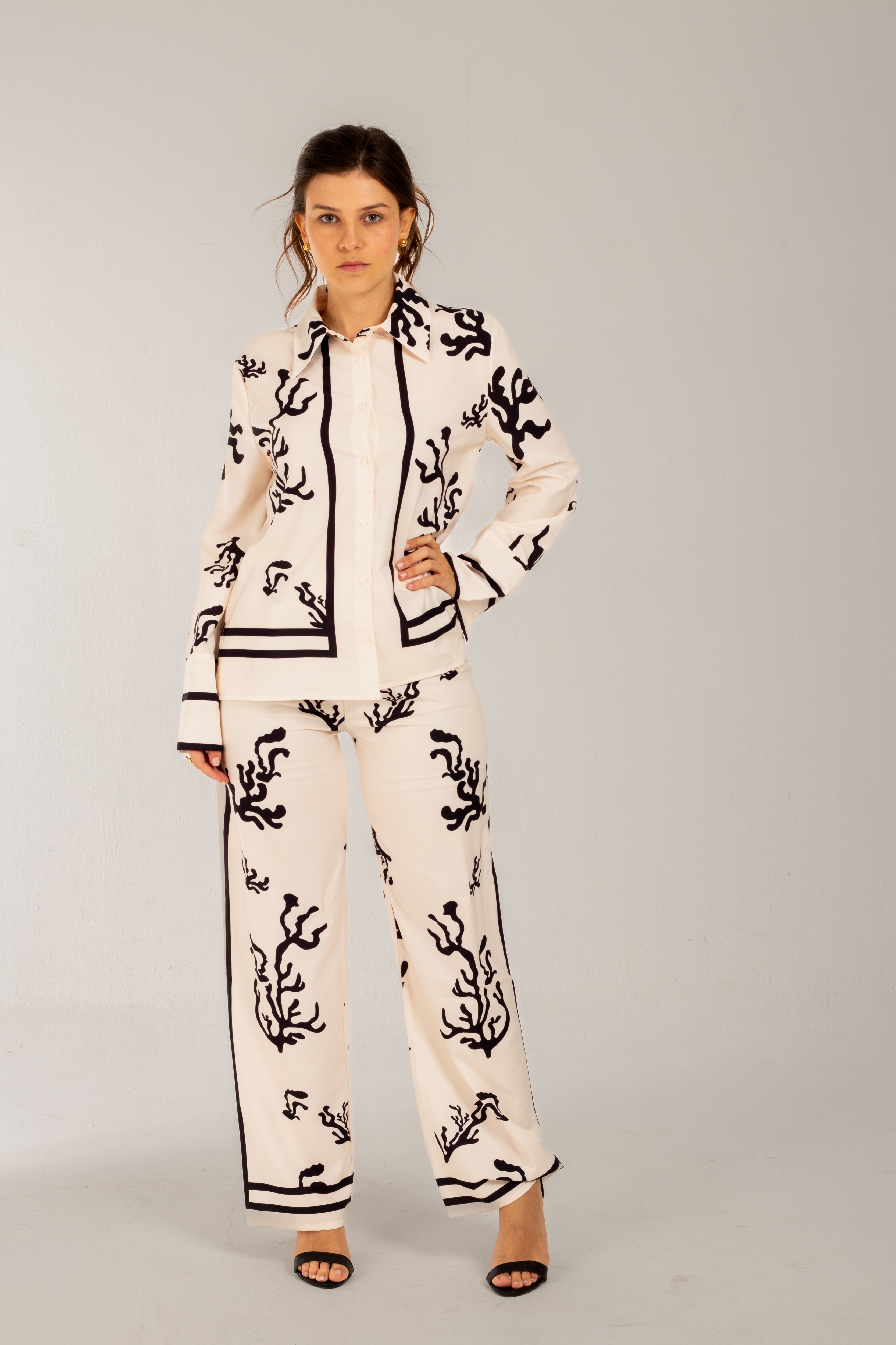 Conjunto Miranda